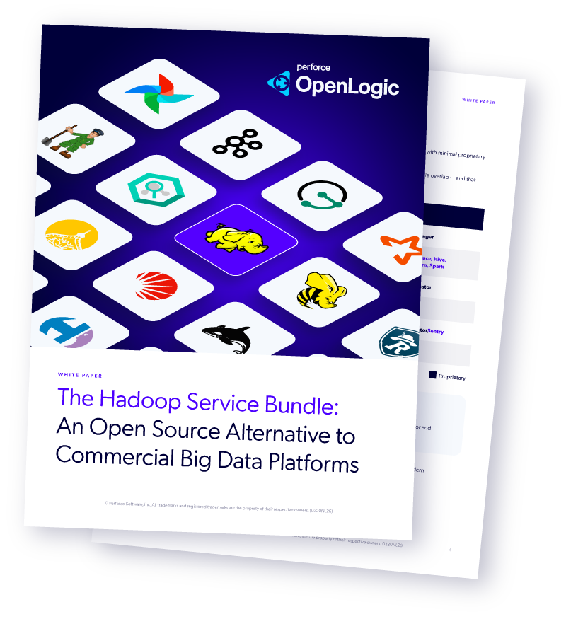 The Hadoop Service Bundle white paper mockup.