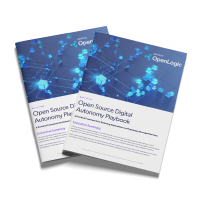 mock up of open source digital autonomy playbook