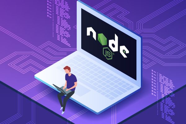 Programmers' Guide to NodeJS