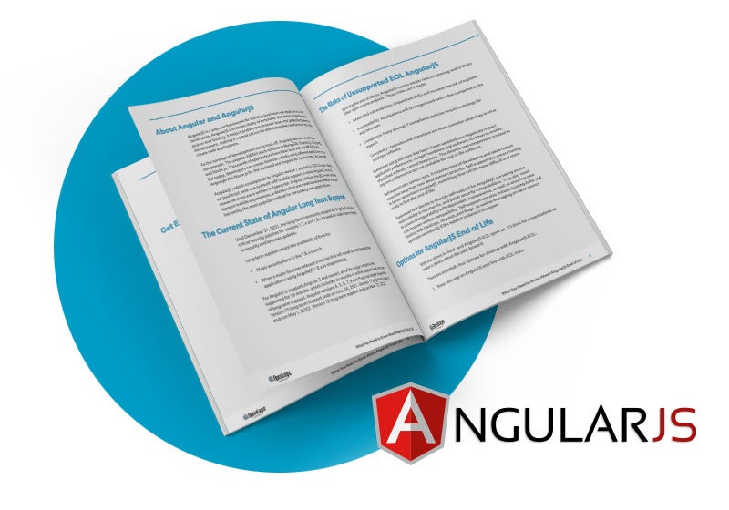 AngularJS White Paper