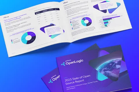 3d mockup of the interior and cover of the 2025 State of Open Source Report